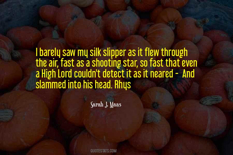 The High Lord Quotes #1148434