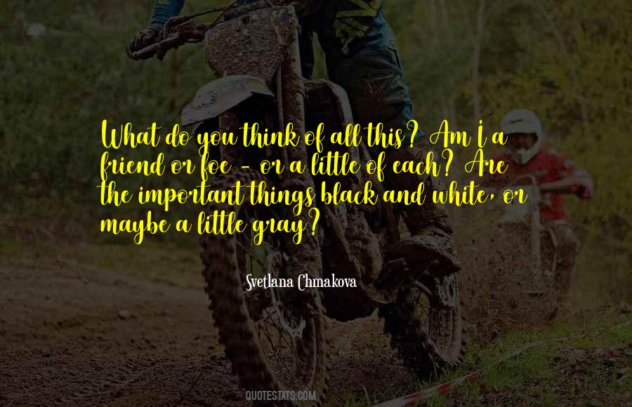 The Important Things Quotes #1042392