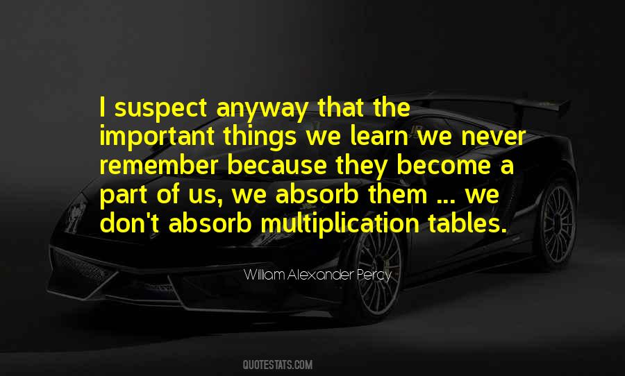 The Important Things Quotes #1300926