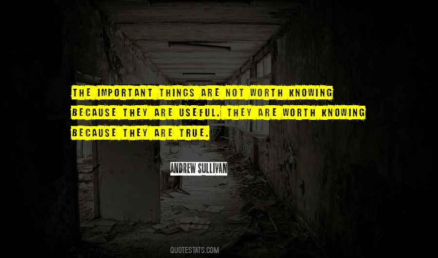 The Important Things Quotes #1372940