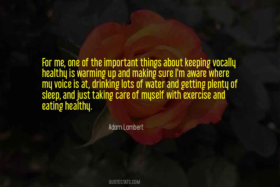 The Important Things Quotes #316798