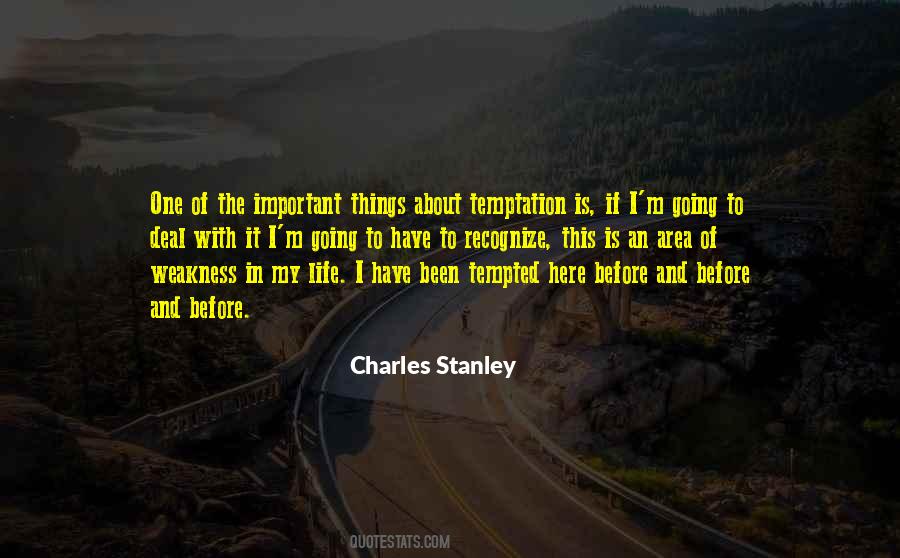 The Important Things Quotes #549396