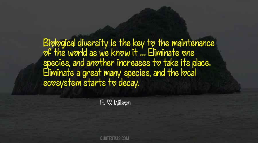 The Key Quotes #1792127