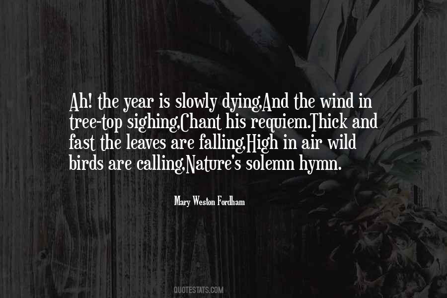 The Last Leaves Falling Quotes #246259