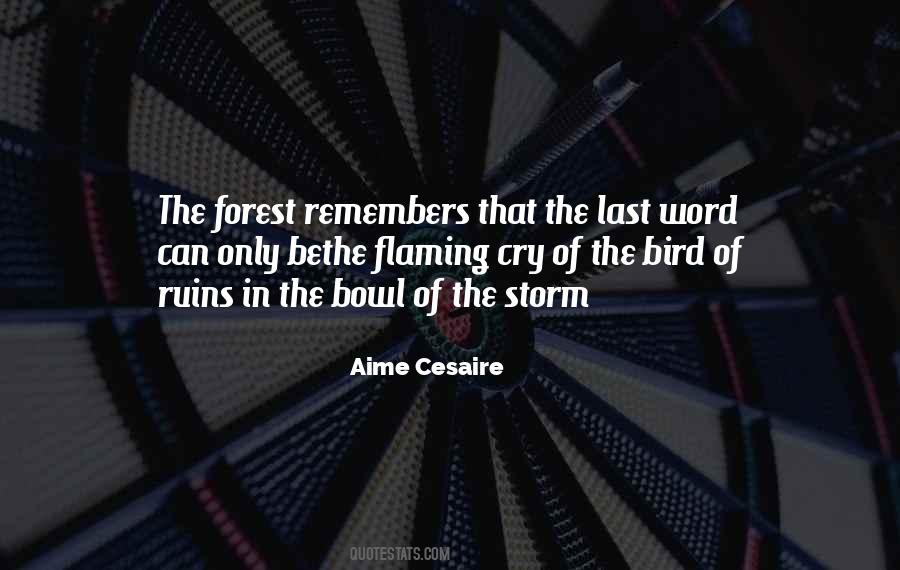 The Last Word Quotes #716523