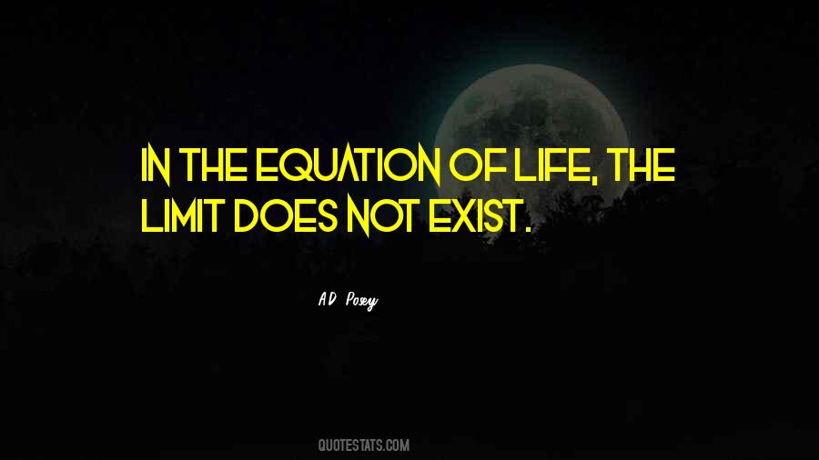 The Limit Does Not Exist Quotes #1434777