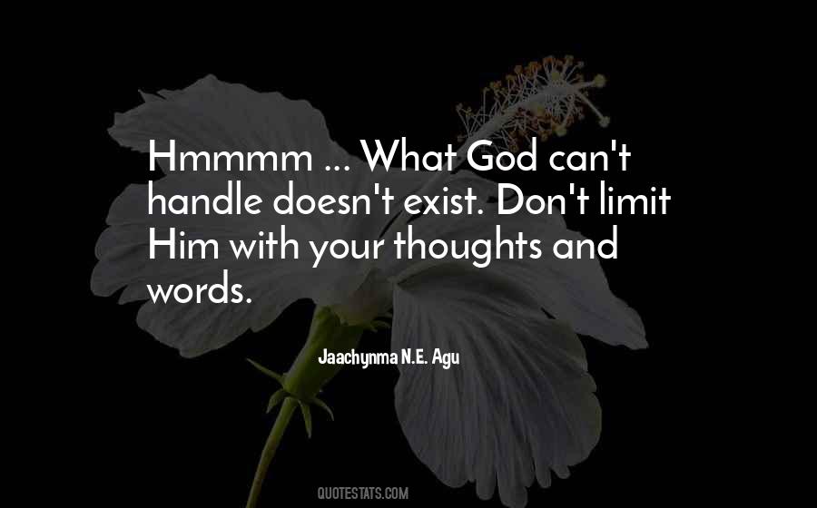 The Limit Does Not Exist Quotes #500788