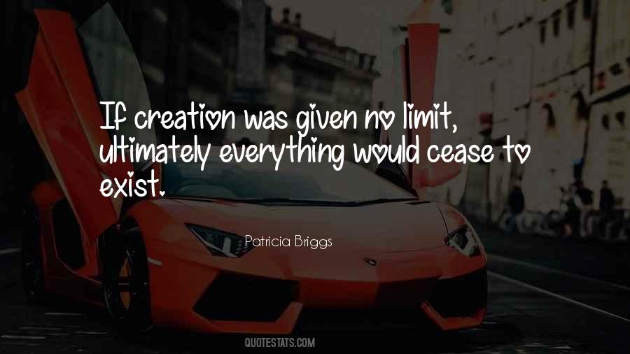 The Limit Does Not Exist Quotes #857302