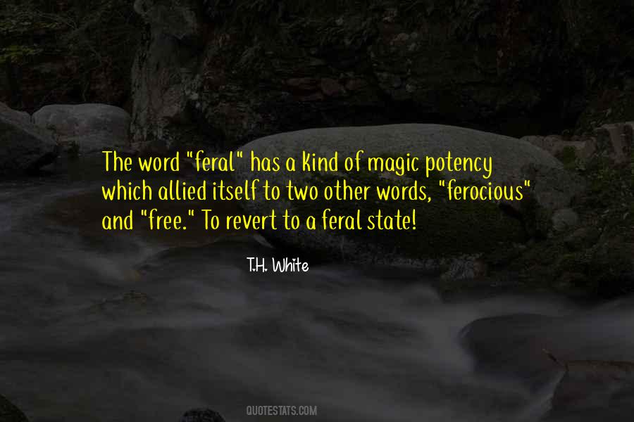The Magic Of Words Quotes #144148