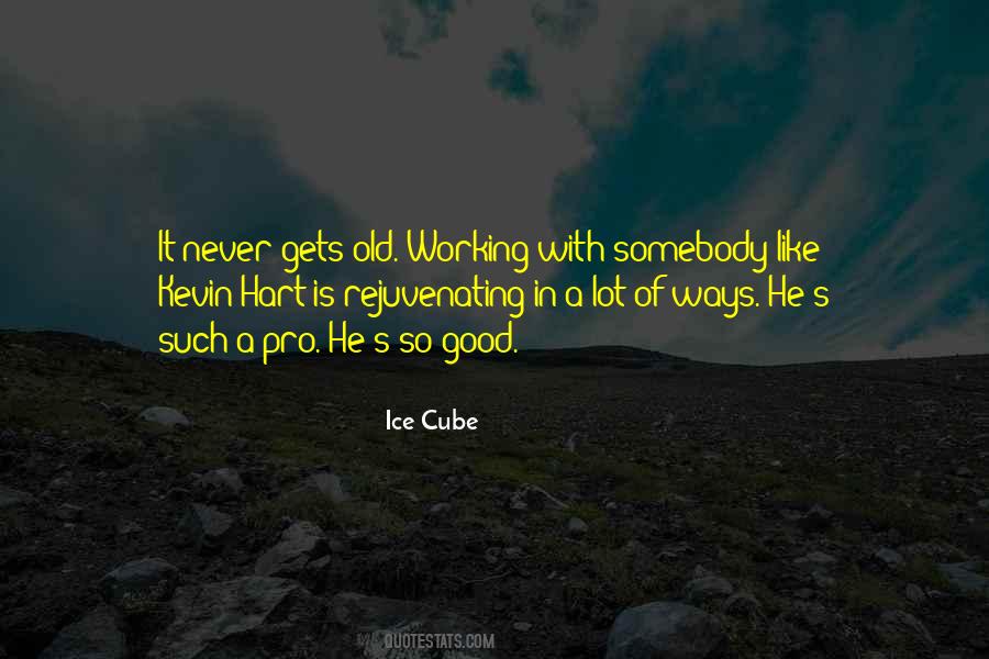 Quotes About Ice Cube #317