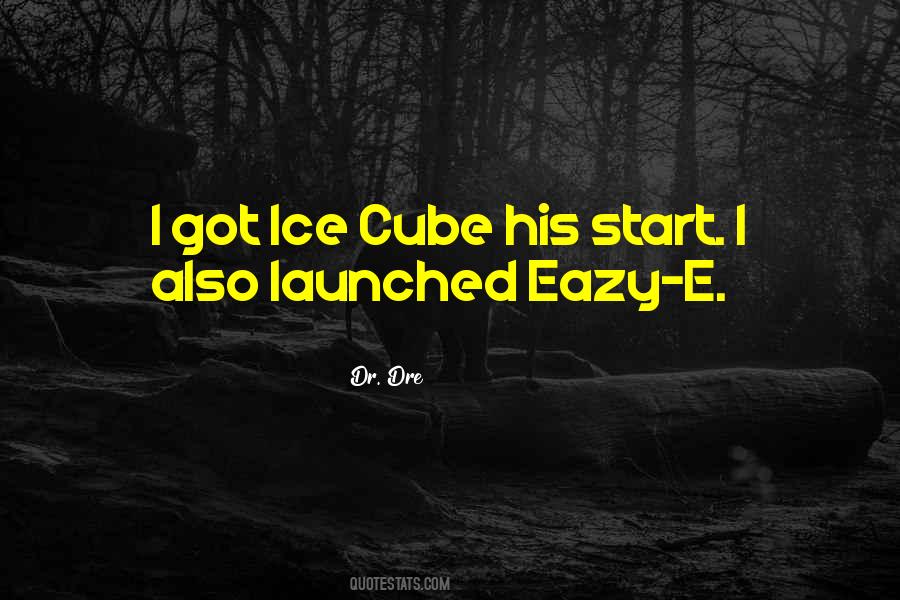 Quotes About Ice Cube #435209