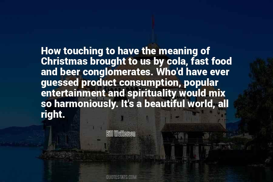 The Meaning Of Christmas Quotes #755768