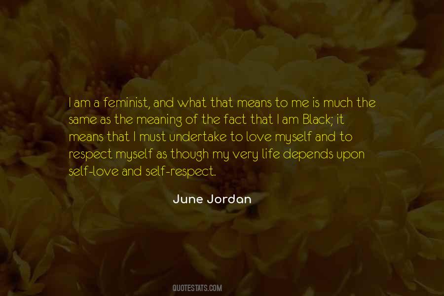 The Meaning Of Respect Quotes #1033017