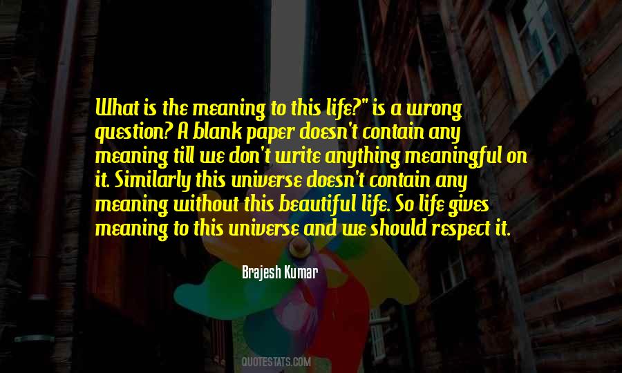 The Meaning Of Respect Quotes #305195