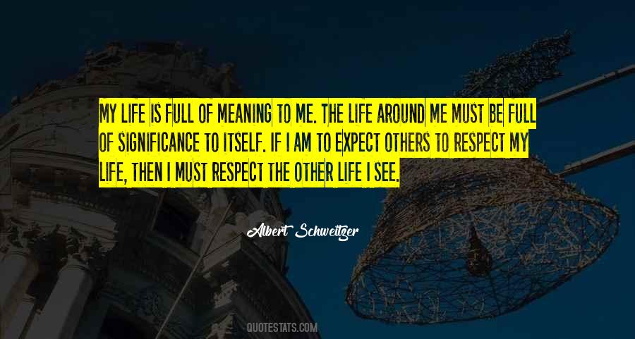 The Meaning Of Respect Quotes #703067