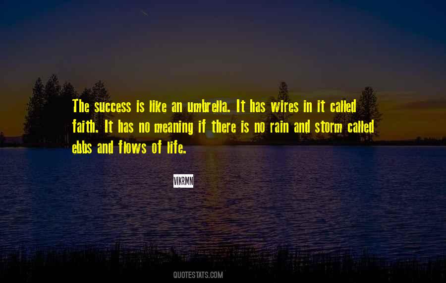 The Meaning Of Success Quotes #391117