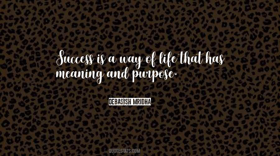 The Meaning Of Success Quotes #518478