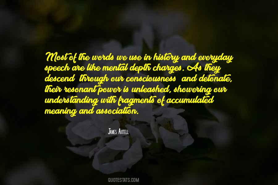 The Meaning Of Words Quotes #513068