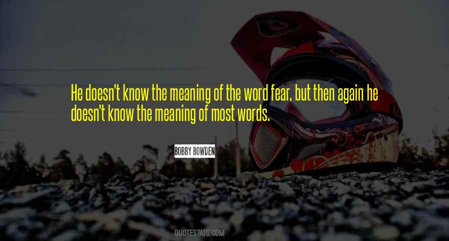 The Meaning Quotes #1698795