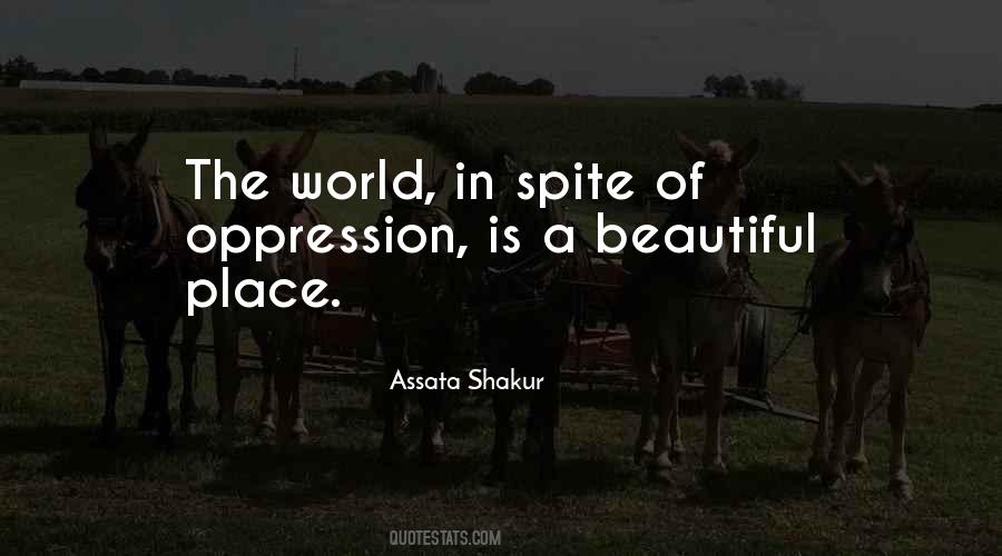 The Most Beautiful Place In The World Quotes #714071
