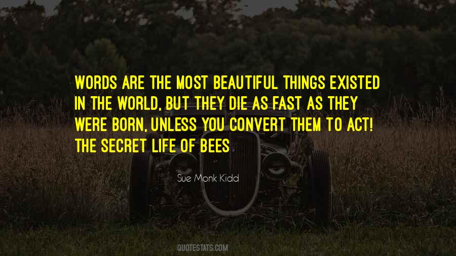 The Most Beautiful Things In The World Quotes #976221