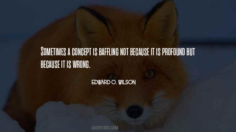 Quotes About Baffling #1324525