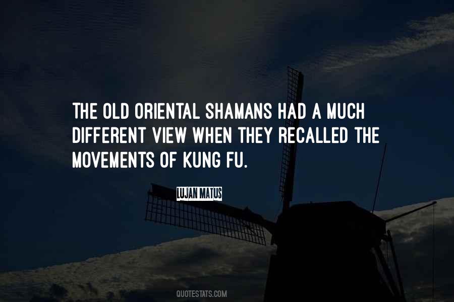 Quotes About Kung Fu #226416