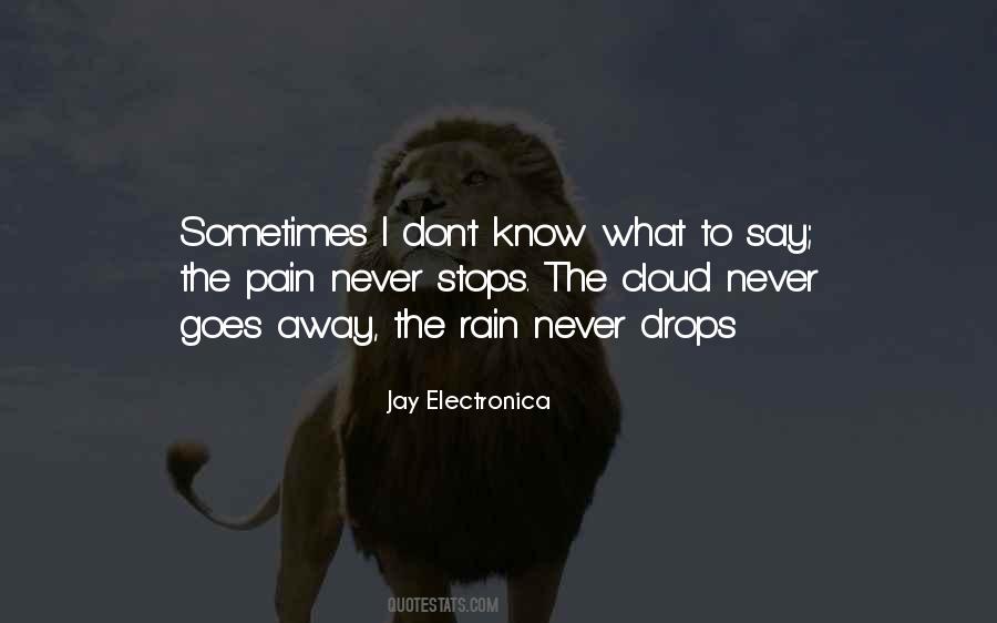 The Pain Never Stops Quotes #1403600