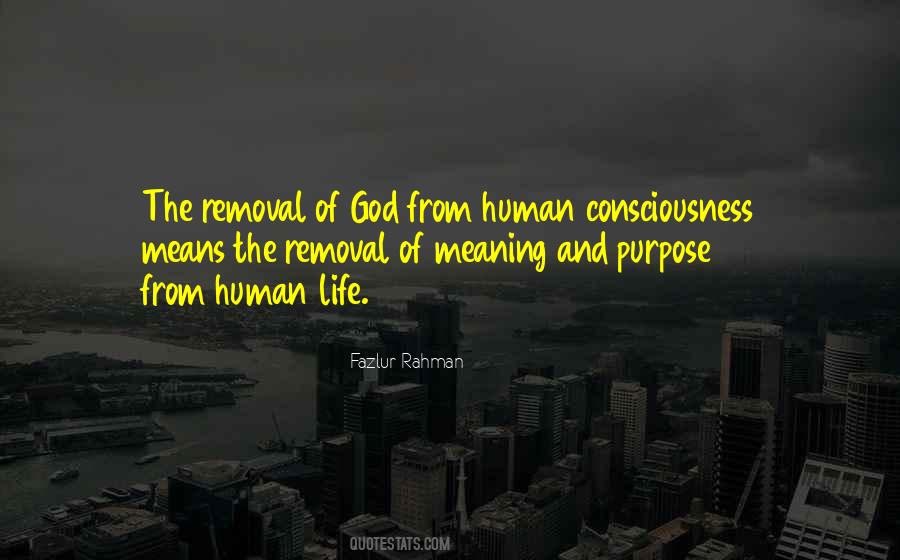 The Purpose Of Human Life Quotes #12060