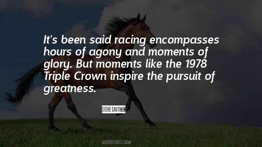 The Pursuit Of Greatness Quotes #497665