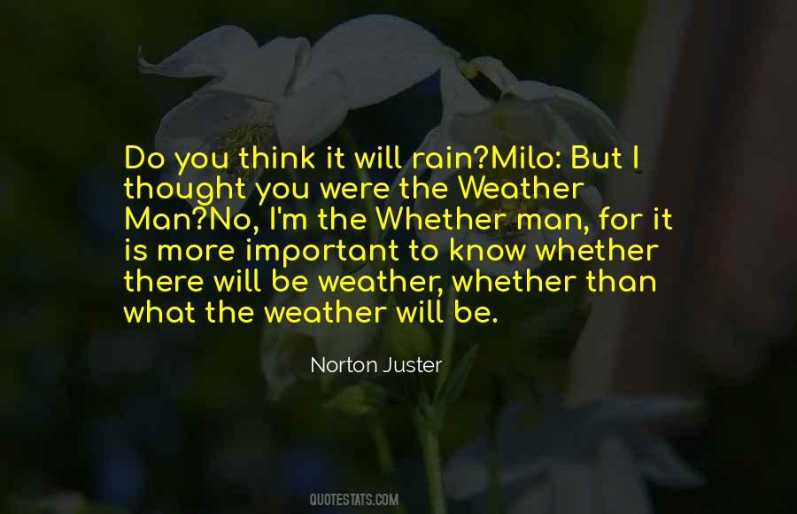 The Rain Man Quotes #280776