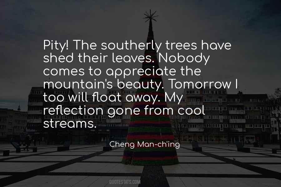 The Rain Man Quotes #631495