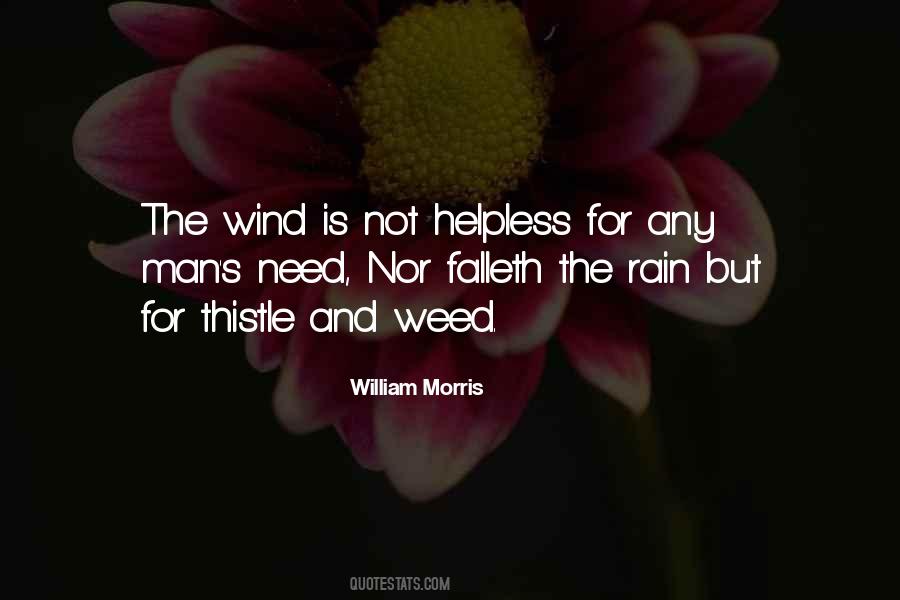 The Rain Man Quotes #780467