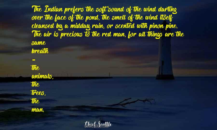 The Rain Man Quotes #790364