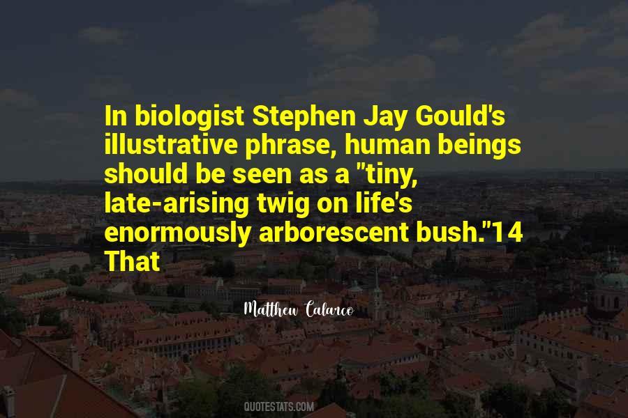 Quotes About Jay Gould #722244