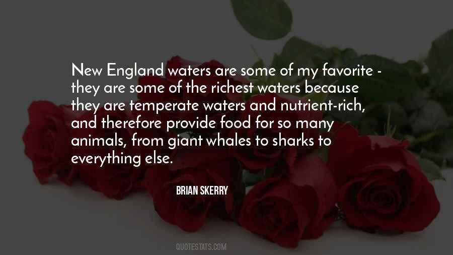 The Richest Quotes #1020011