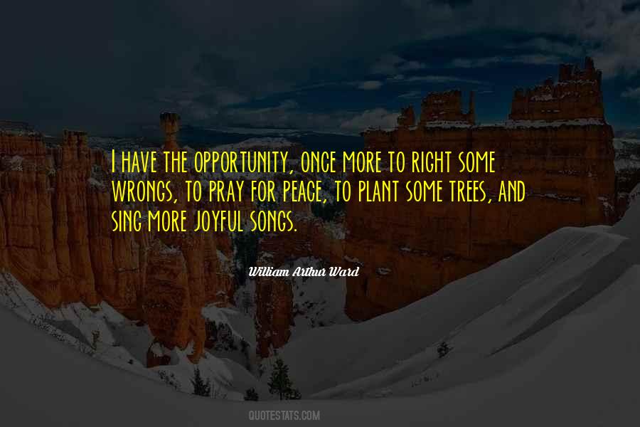 The Right Opportunity Quotes #828399
