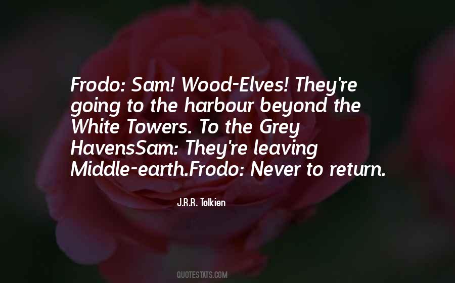 The Ring Frodo Quotes #1123529