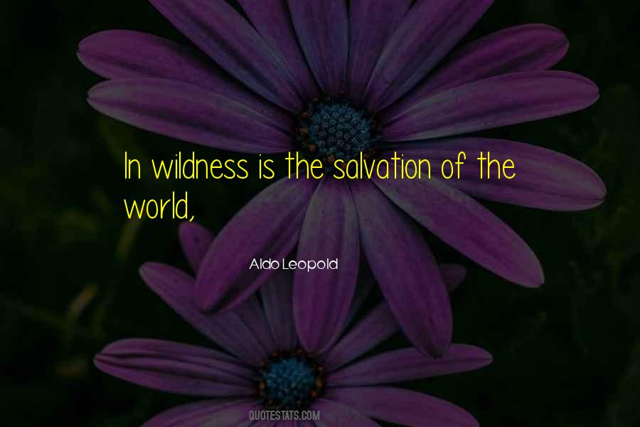 The Salvation Quotes #926488