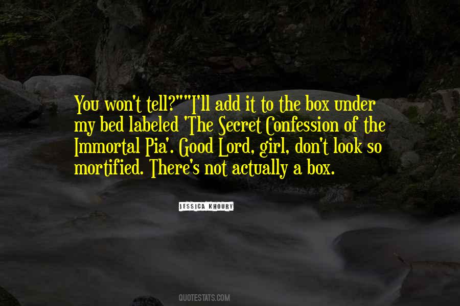 The Secret Box Quotes #697444