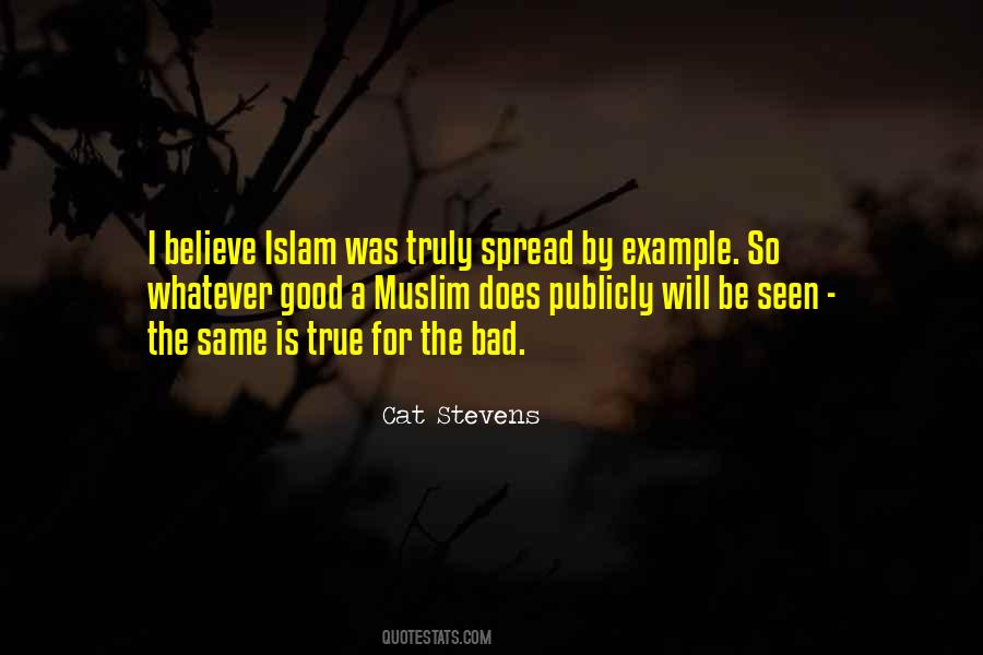 The Spread Of Islam Quotes #1823241