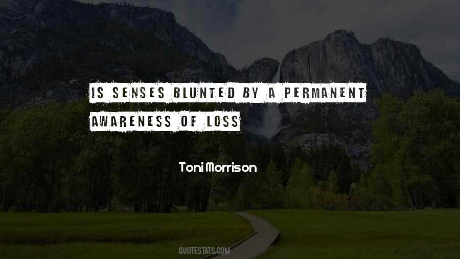 Quotes About Toni Morrison #99445