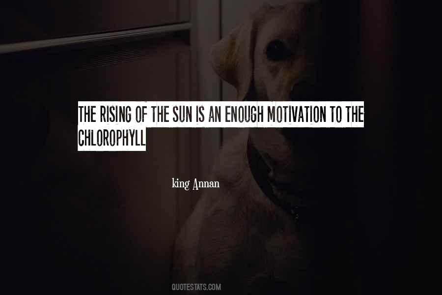 The Sun King Quotes #808622