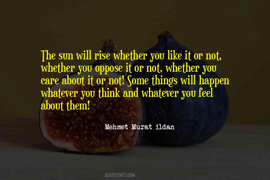 The Sun Will Rise Quotes #1367882