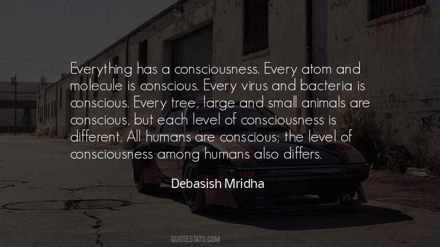 The Theory Of Everything Quotes #1234430