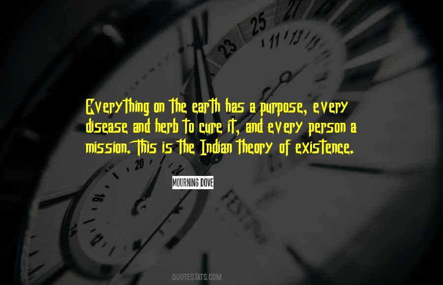 The Theory Of Everything Quotes #1409957