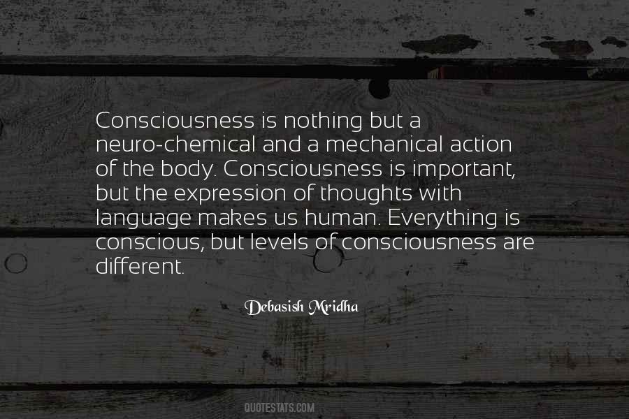 The Theory Of Everything Quotes #1563468