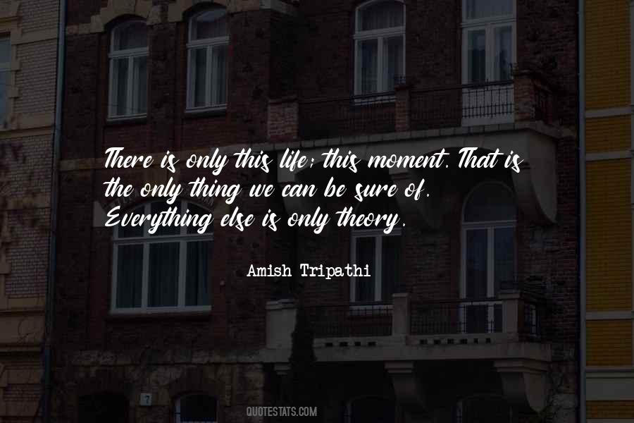 The Theory Of Everything Quotes #732780