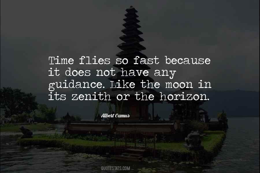 The Time Flies Quotes #89139