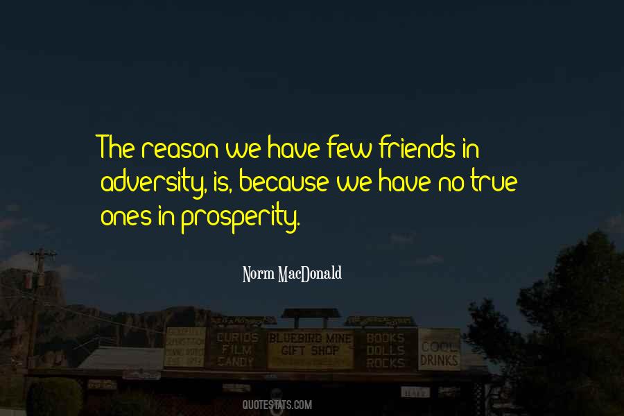 The True Friends Quotes #539266